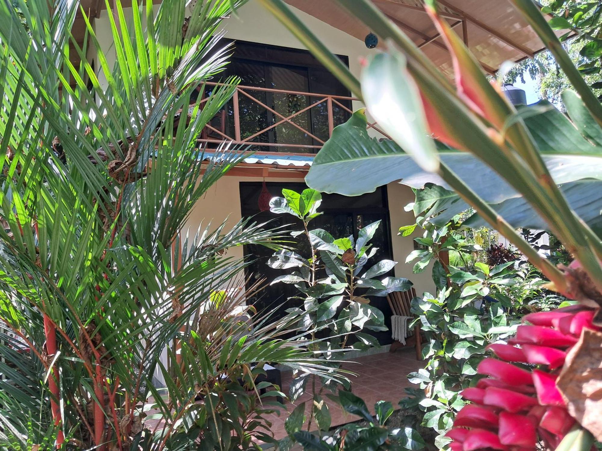 New Caribe Point Villa Cahuita Luaran gambar