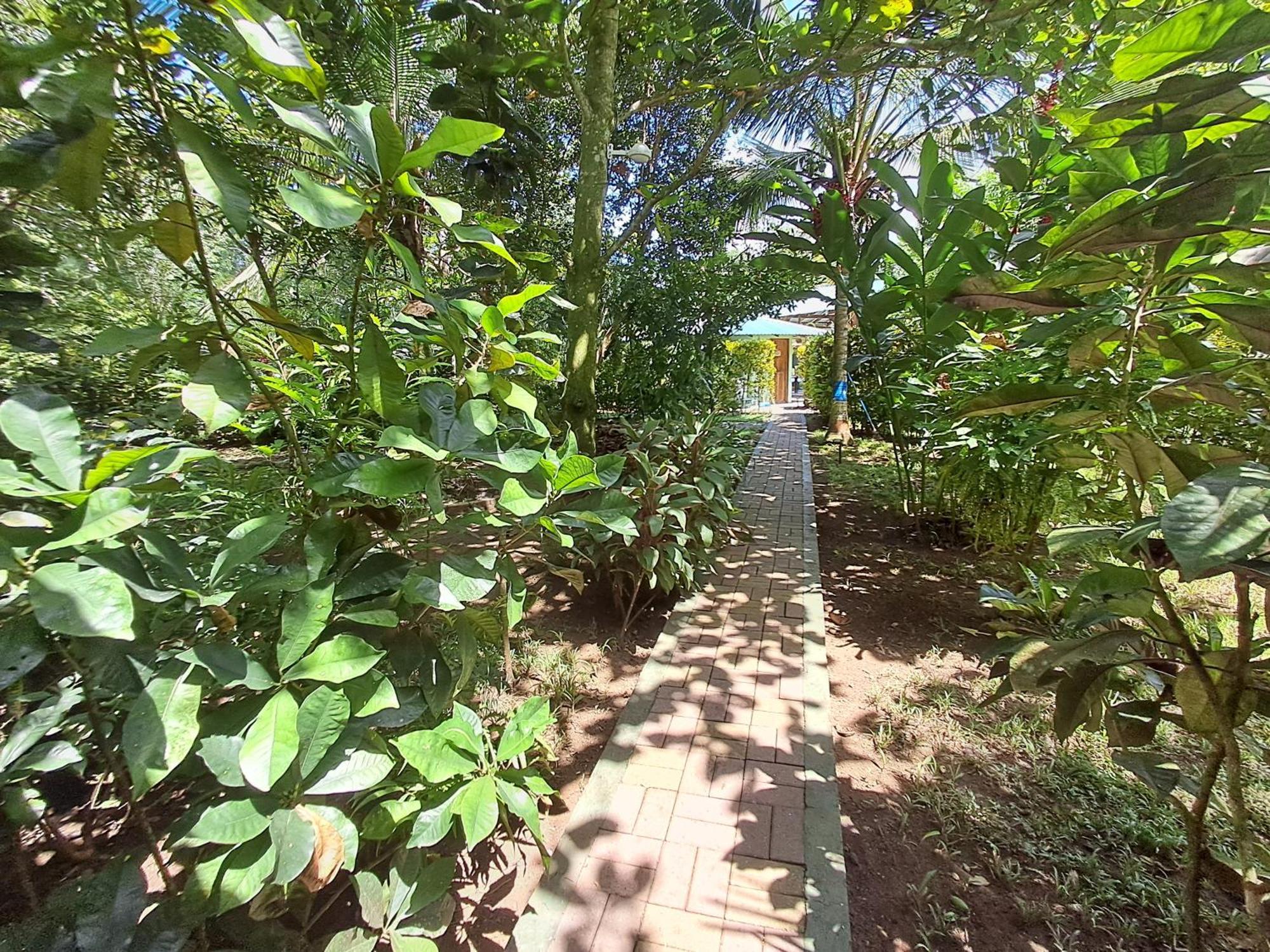New Caribe Point Villa Cahuita Luaran gambar
