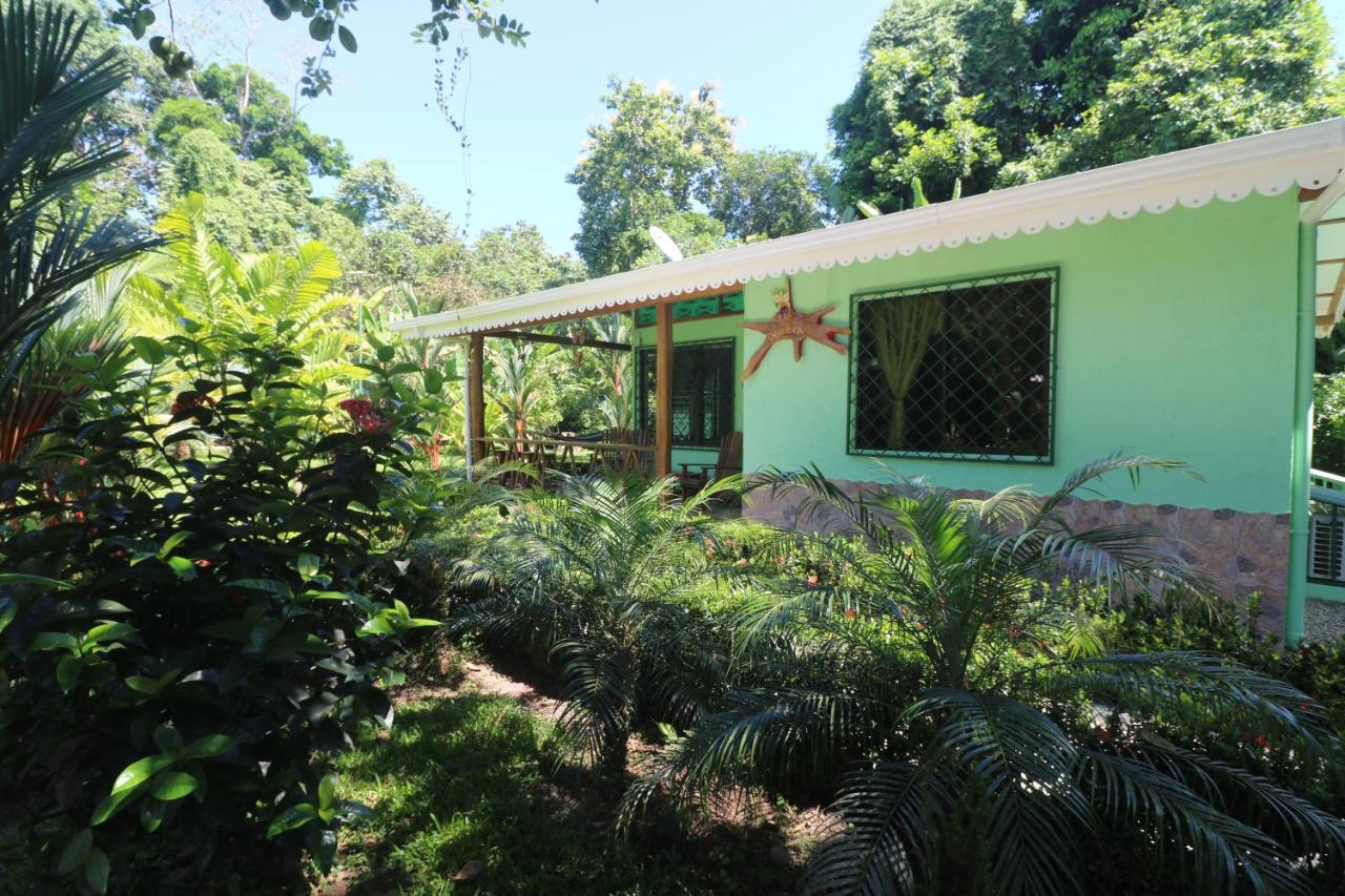 New Caribe Point Villa Cahuita Luaran gambar